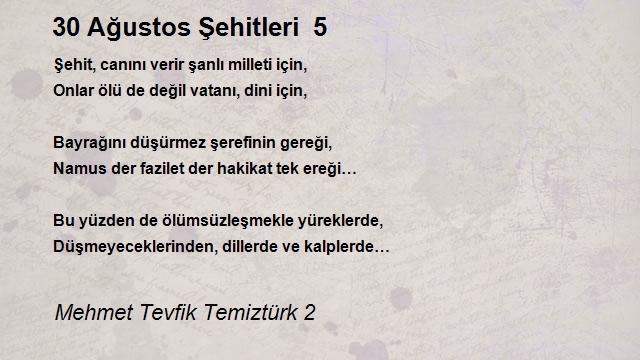 Mehmet Tevfik Temiztürk 2