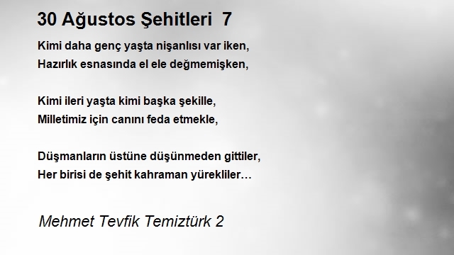 Mehmet Tevfik Temiztürk 2