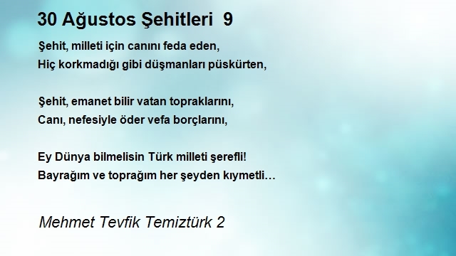 Mehmet Tevfik Temiztürk 2