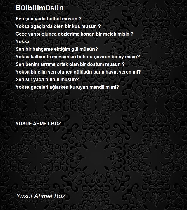 Yusuf Ahmet Boz