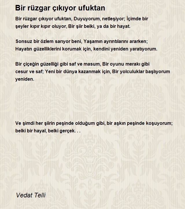 Vedat Telli