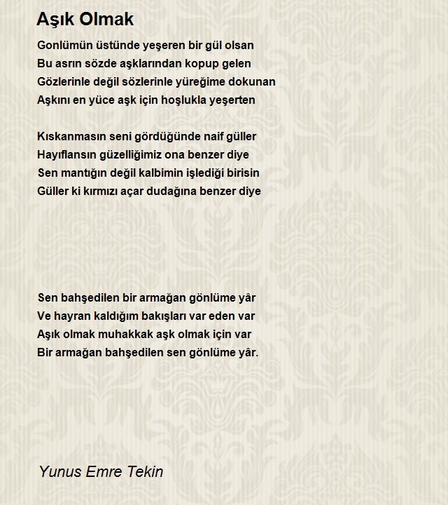 Yunus Emre Tekin