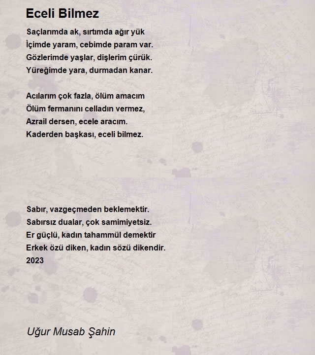 Uğur Musab Şahin