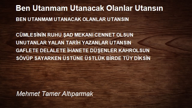 Mehmet Tamer Altıparmak