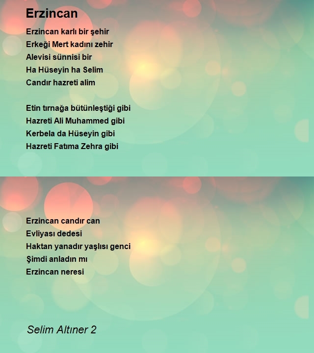 Selim Altıner 2