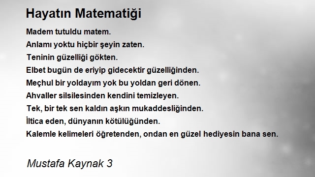 Mustafa Kaynak 3