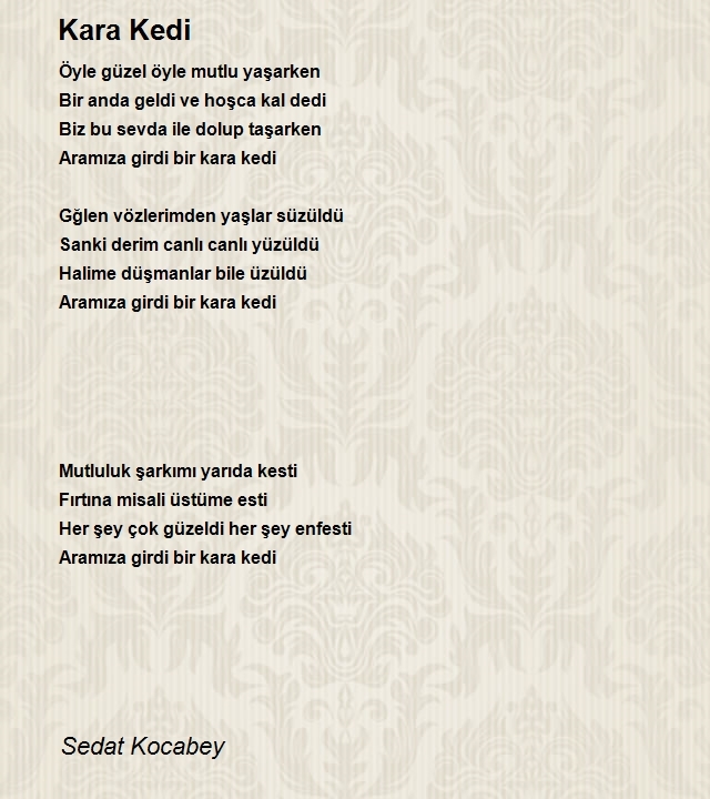 Sedat Kocabey