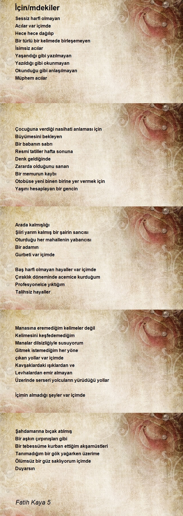 Fatih Kaya 5