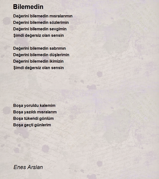 Enes Arslan