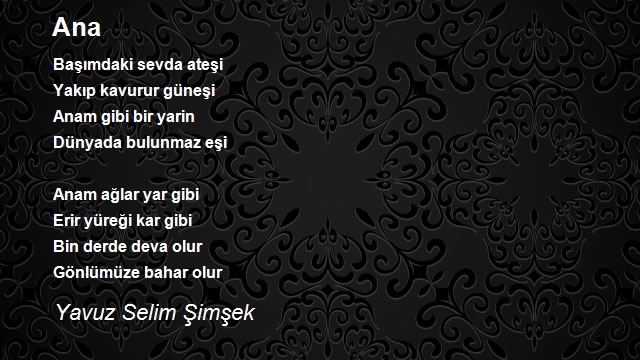 Yavuz Şimşek Selimi 2