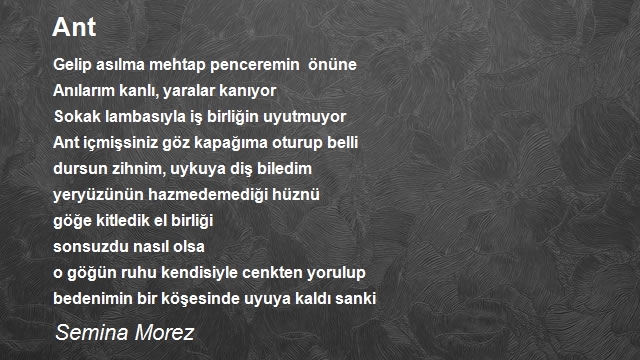 Semina Morez