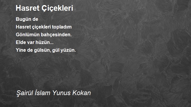 Şairül İslam Yunus Kokan