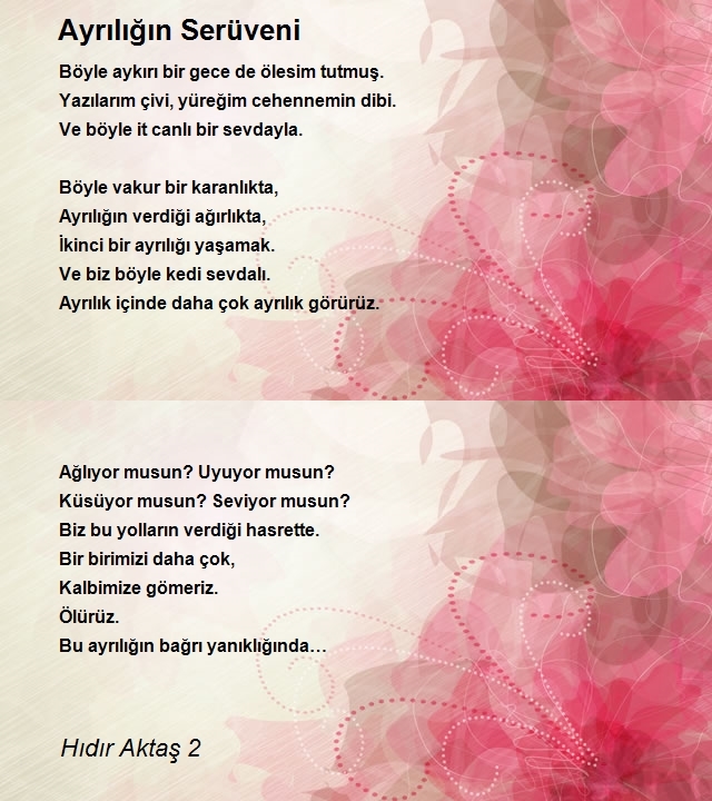 Hıdır Aktaş 2