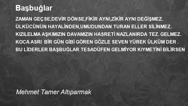 Mehmet Tamer Altıparmak