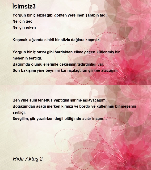 Hıdır Aktaş 2