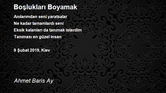 Ahmet Baris Ay