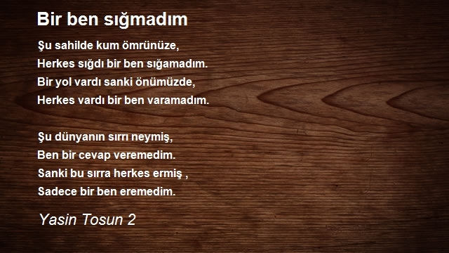 Yasin Tosun 2