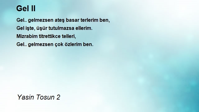 Yasin Tosun 2