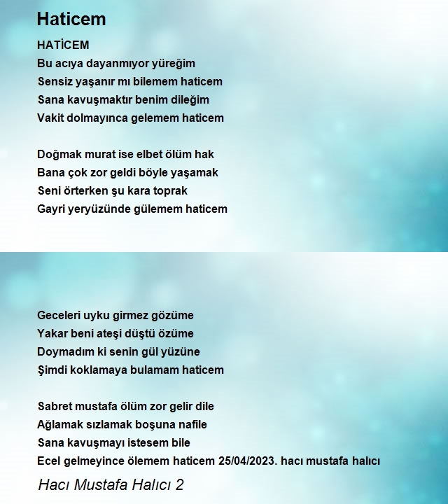 Hacı Mustafa Halıcı 2