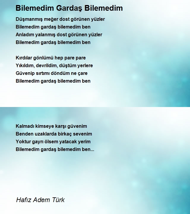 Hafız Adem Enes Türk