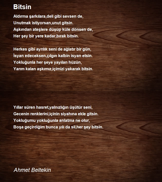 Ahmet Beltekin