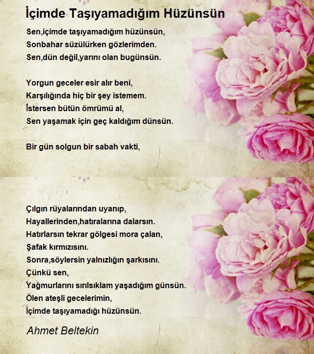 Ahmet Beltekin