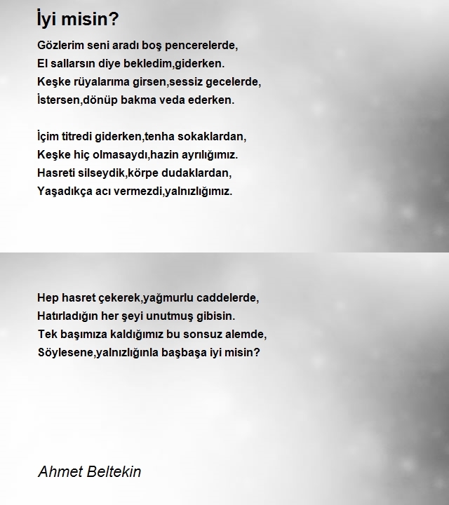 Ahmet Beltekin