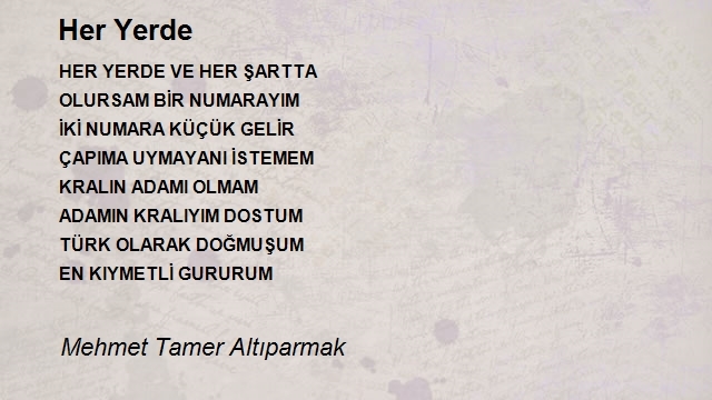 Mehmet Tamer Altıparmak