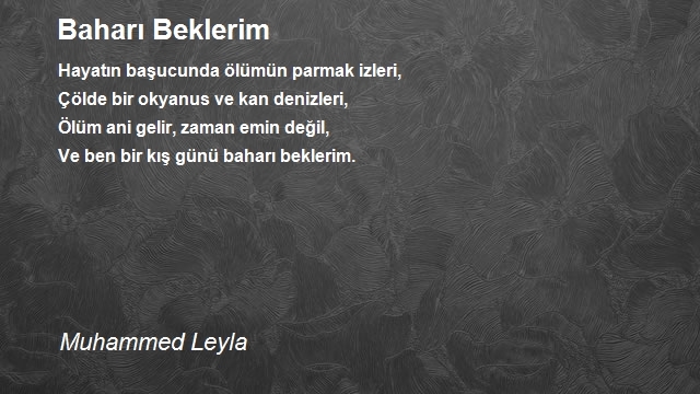 Muhammed Leyla