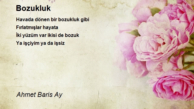 Ahmet Baris Ay