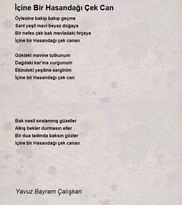 Yavuz Bayram Çalışkan