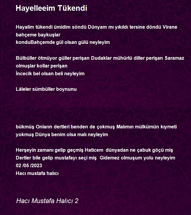 Hacı Mustafa Halıcı 2