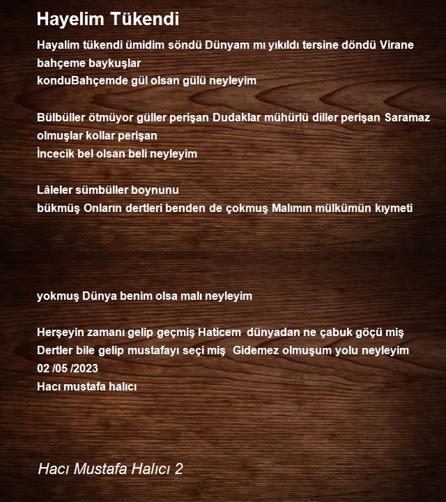 Hacı Mustafa Halıcı 2