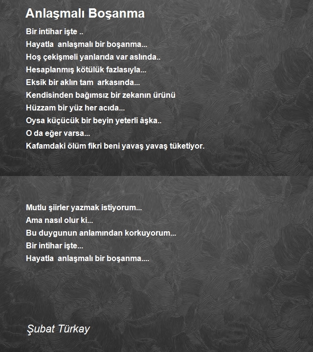 Şubat Türkay