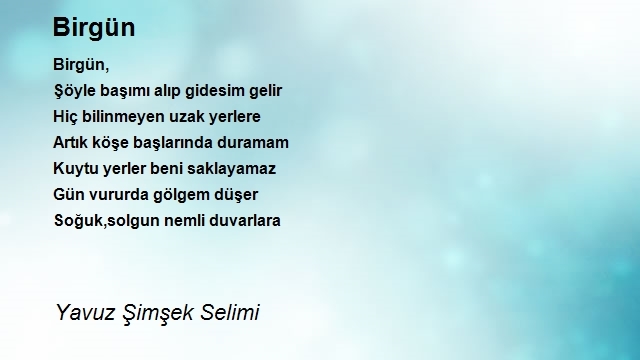 Yavuz Şimşek Selimi 2