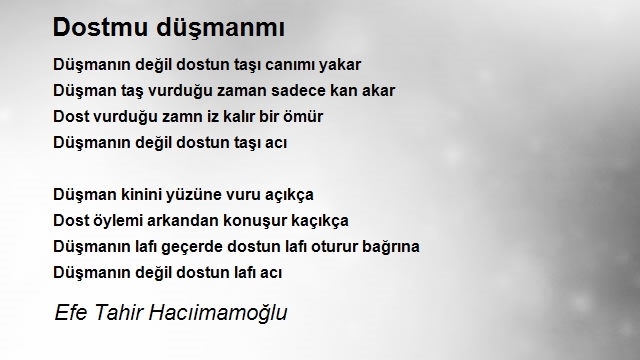 Efe Tahir Hacıimamoğlu