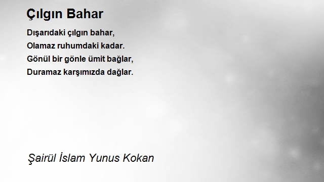 Şairül İslam Yunus Kokan