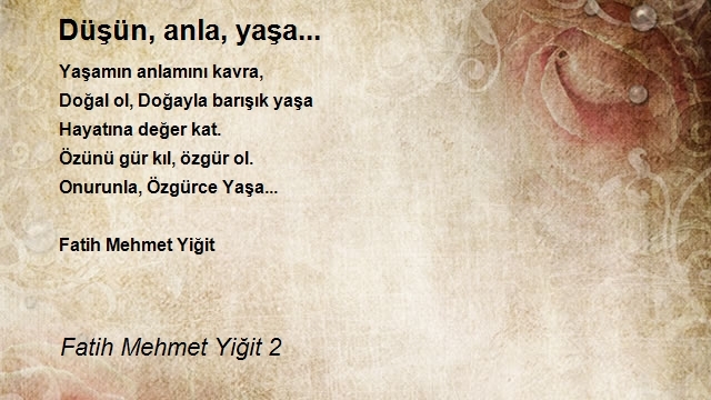 Fatih Mehmet Yiğit 2