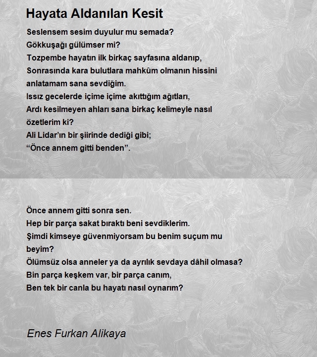 Enes Furkan Alikaya