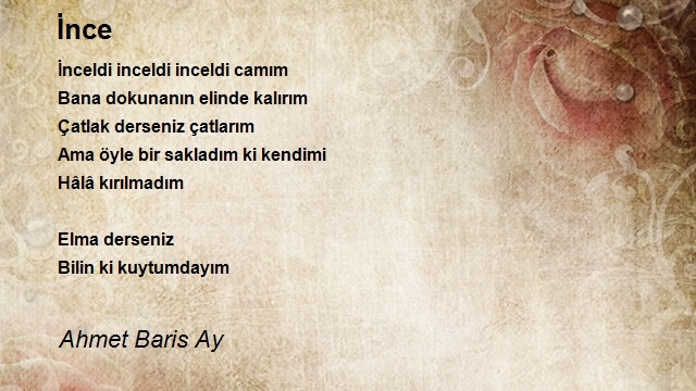 Ahmet Baris Ay