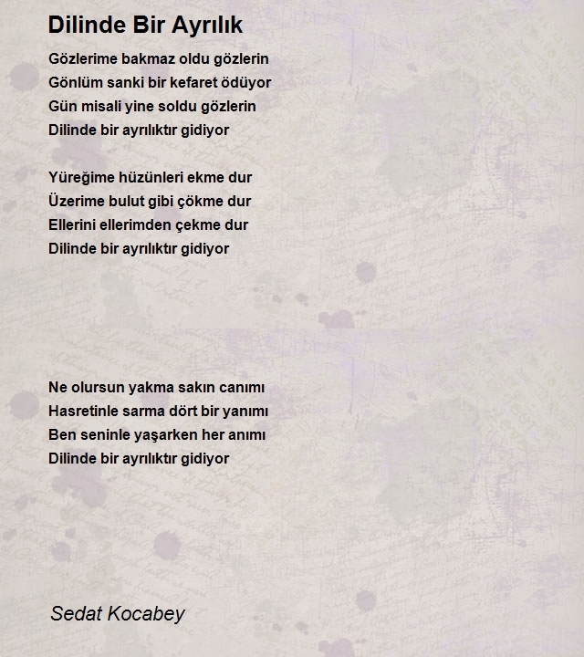 Sedat Kocabey