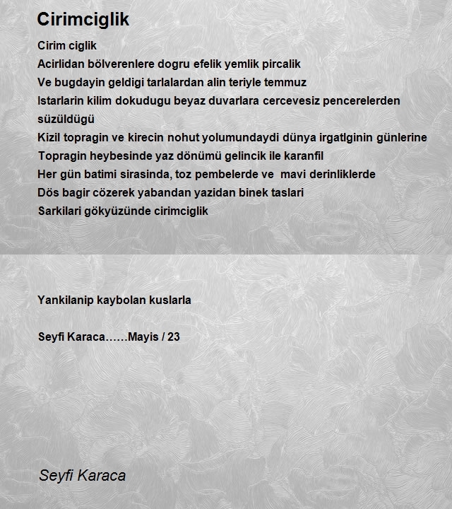 Seyfi Karaca