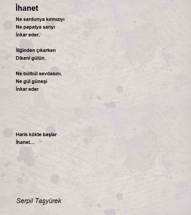 Serpil Taşyürek