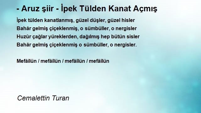 Cemalettin Turan