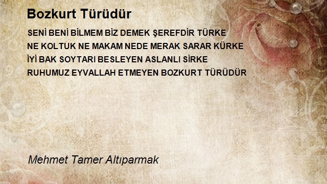 Mehmet Tamer Altıparmak