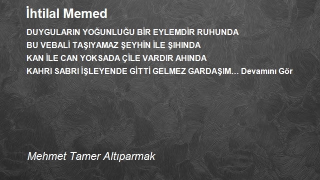 Mehmet Tamer Altıparmak