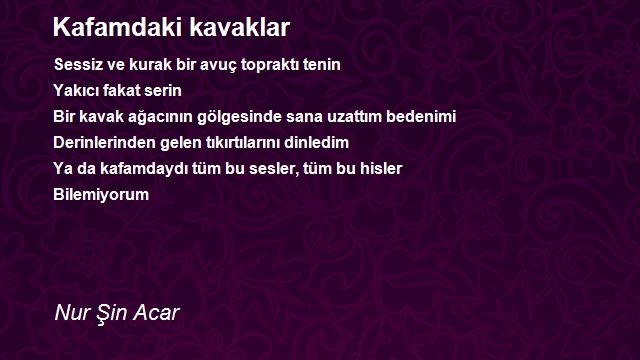 Nur Acar