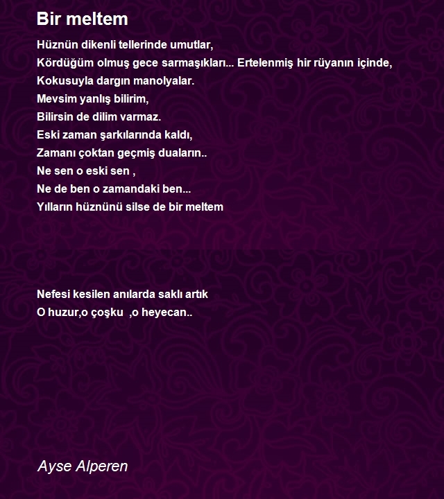 Ayse Alperen