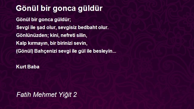 Fatih Mehmet Yiğit 2