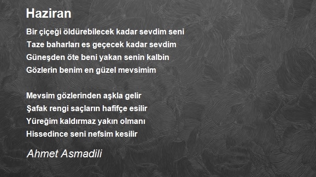 Ahmet Asmadili